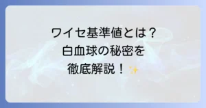 ワイセ基準値とは？白血球の正常範囲と高い低い原因、対処法を徹底解説！
