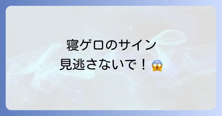寝ゲロの主な前兆と具体的な症状