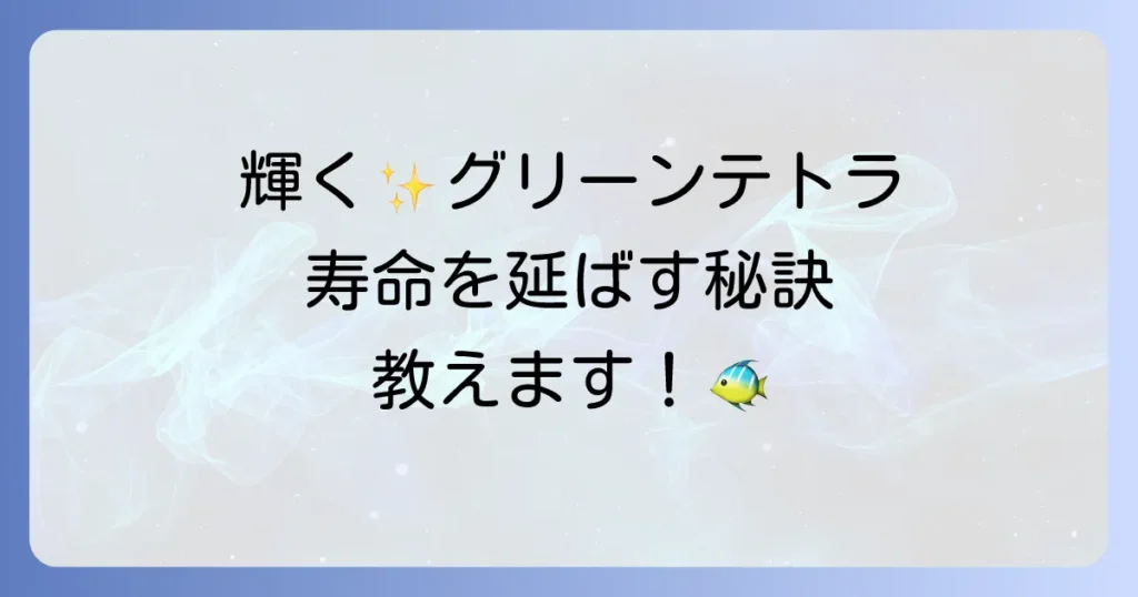 グリーンネオンテトラの寿命を最大限に延ばす飼育方法と長生きのコツを徹底解説