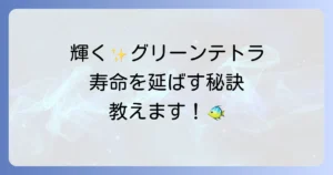 グリーンネオンテトラの寿命を最大限に延ばす飼育方法と長生きのコツを徹底解説