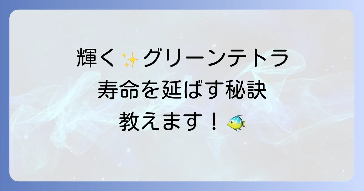 グリーンネオンテトラの寿命を最大限に延ばす飼育方法と長生きのコツを徹底解説