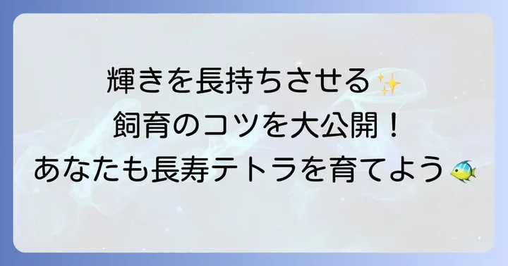 グリーンネオンテトラを長生きさせるための飼育のコツ