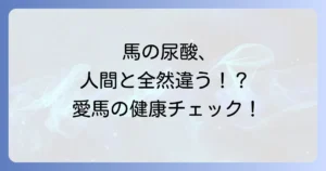 馬尿酸基準値の真実：人間との違いと愛馬の健康チェックポイント