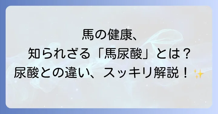 馬の健康管理で注目すべき「馬尿酸」とは？尿酸との違いを解説