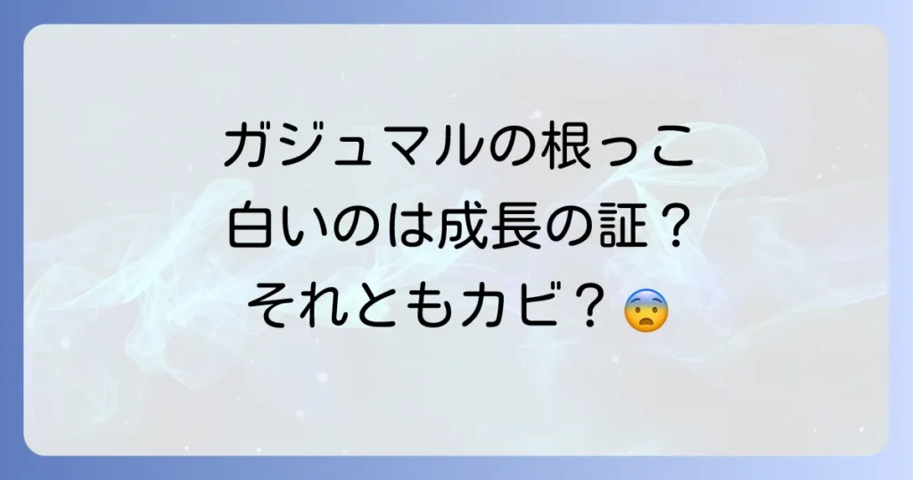 ガジュマルの根っこが白い原因と対処法を徹底解説！健康な根を育てるコツ
