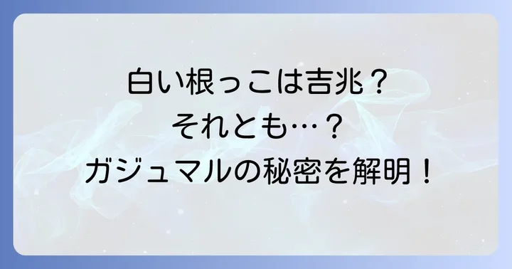 ガジュマルの根っこが白いのはなぜ？考えられる2つの主な原因