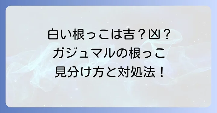 健康な白い根っことカビ・菌による白い根っこの見分け方