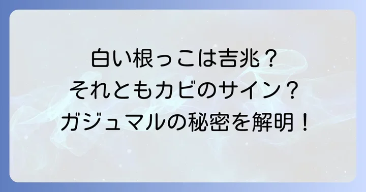 白いカビや菌が発生した場合の対処法