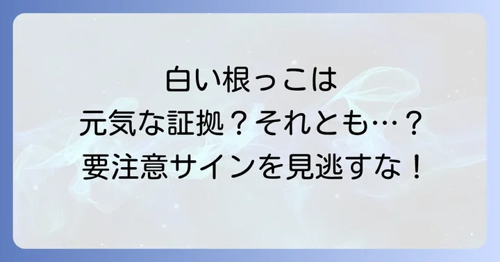 ガジュマルの根腐れにも注意！白い根っこから進行する可能性