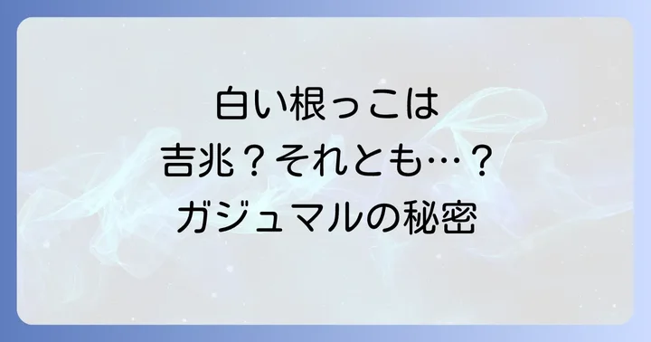 ガジュマルの根っこを健康に保つための日常ケア