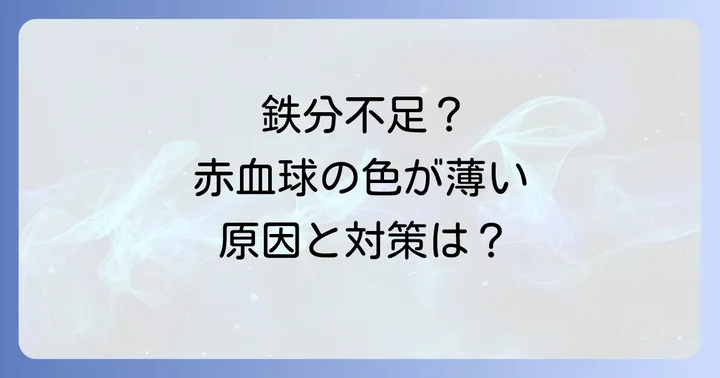 平均赤血球ヘモグロビン濃度が低い主な原因