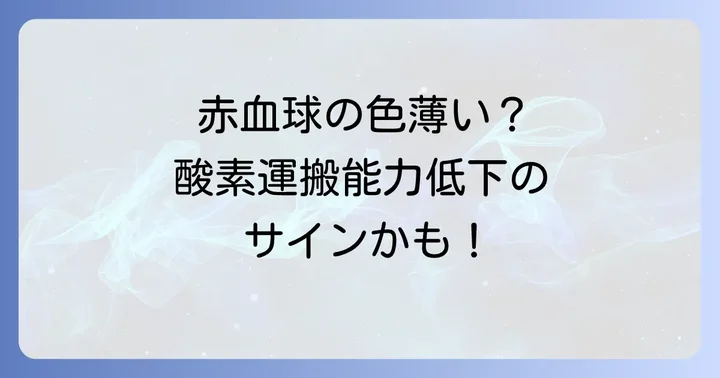 平均赤血球ヘモグロビン濃度が低い場合の症状と体への影響