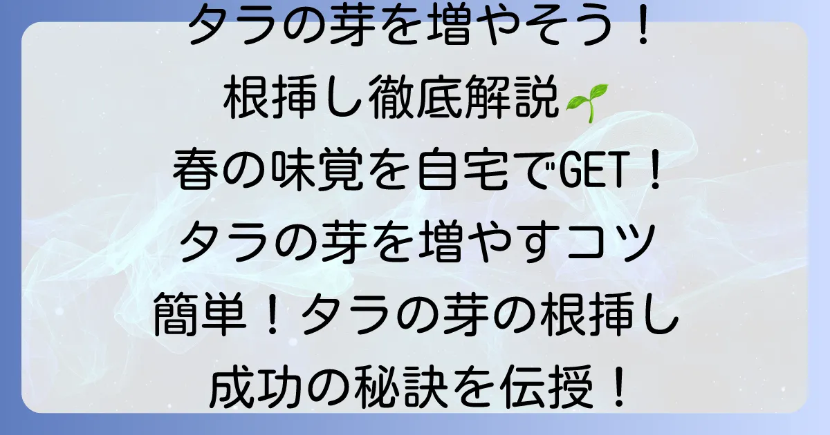 タラの芽根挿し徹底解説:成功するための時期とコツと失敗しない育て方