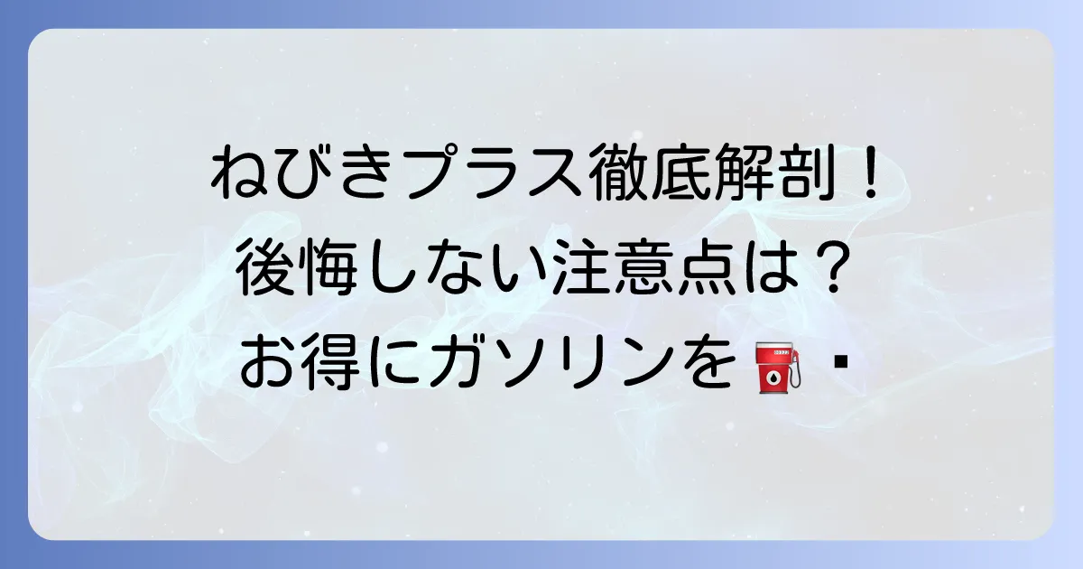 ねびきプラスサービスデメリットを徹底解説!後悔しないための注意点