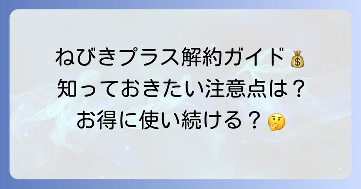 ねびきプラスサービスとは？基本情報とメリット・デメリット