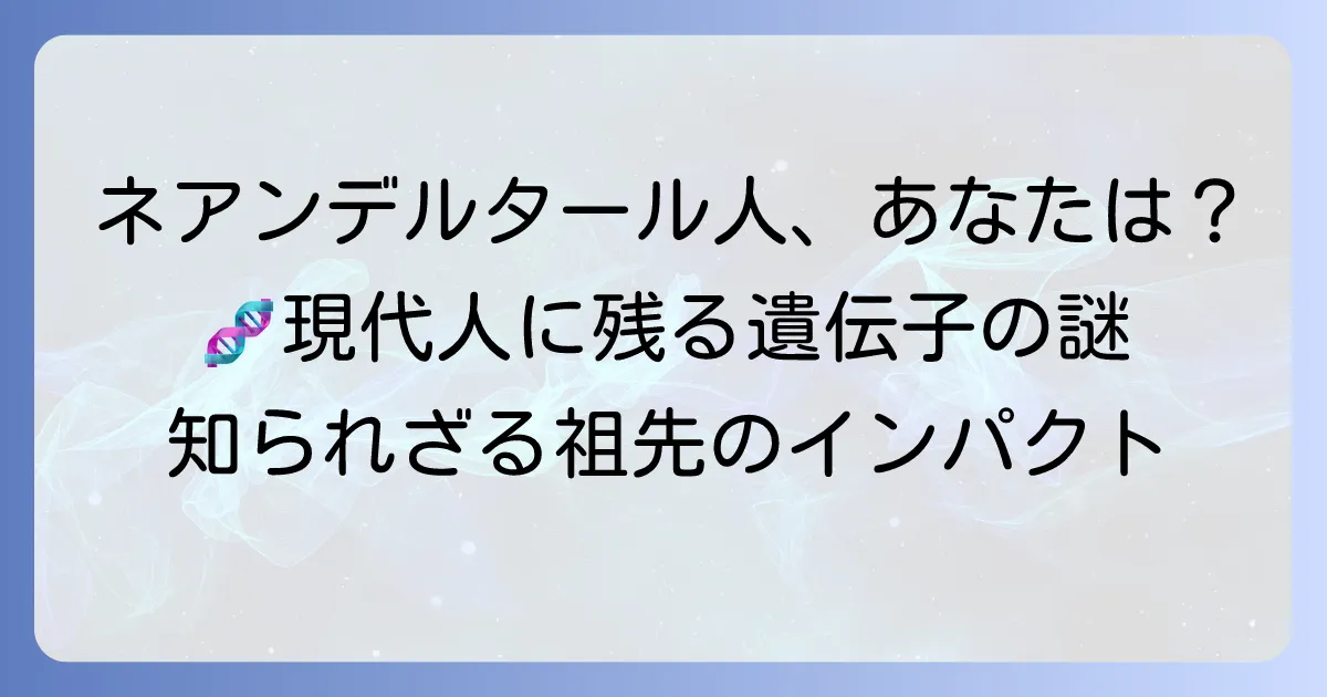 ネアンデルタール人遺伝子が多い国はどこか？現代人に残る影響と割合を徹底解説