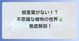根茎葉の区別がない植物とは？その不思議な生態と多様な仲間を徹底解説