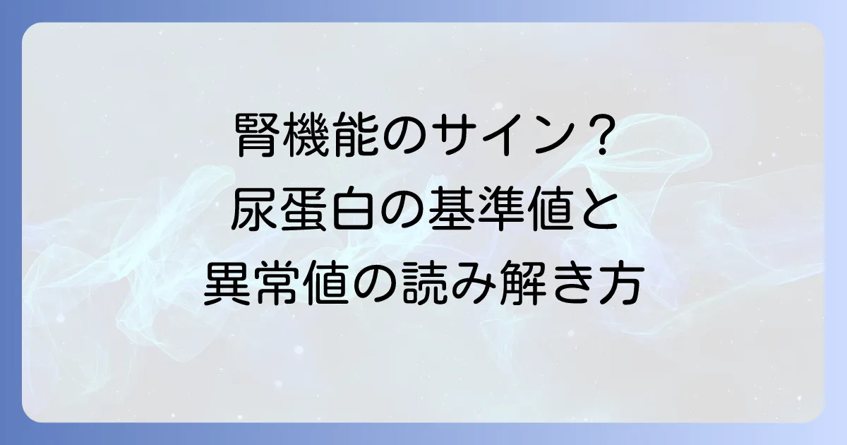 尿蛋白クレアチニン補正値の基準値とは?腎機能のサインを徹底的に解説