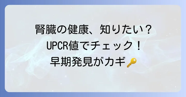 尿蛋白クレアチニン補正値(UPCR)とは?腎機能評価の重要な指標