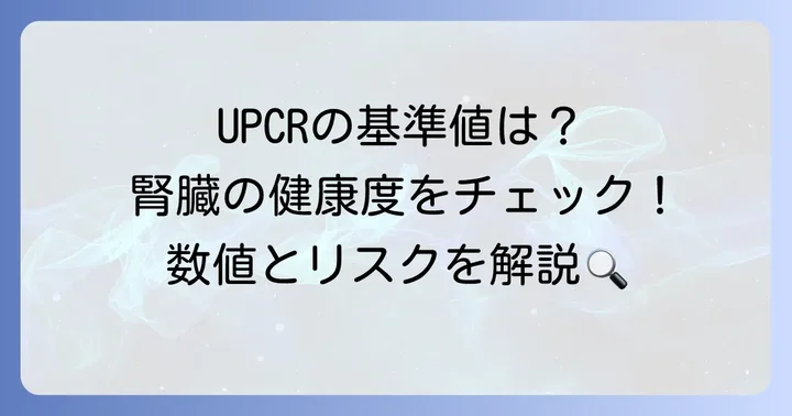 尿蛋白クレアチニン補正値の基準値と異常値が示すもの