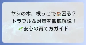 ヤシの木根っこの特徴とトラブル対策、地植え鉢植えの管理方法を徹底解説