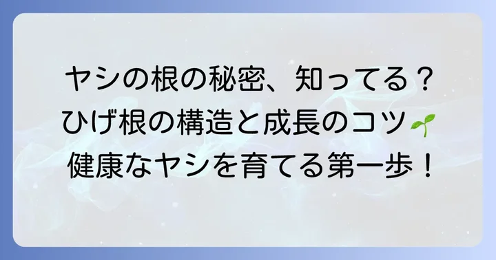 ヤシの木根っこの基本的な特徴を知ろう