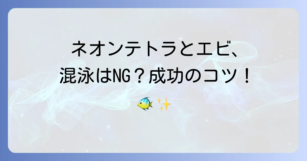 ネオンテトラとエビの混泳は可能?失敗しないための飼育方法