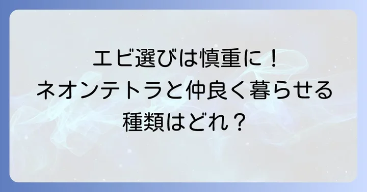 混泳におすすめのエビの種類と選び方