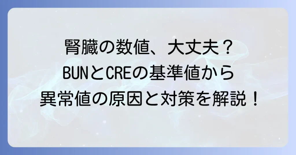 BUNとCREの基準値でわかる腎臓の健康状態：異常値の原因と対処法を徹底解説
