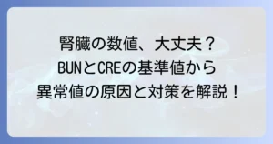 BUNとCREの基準値でわかる腎臓の健康状態：異常値の原因と対処法を徹底解説