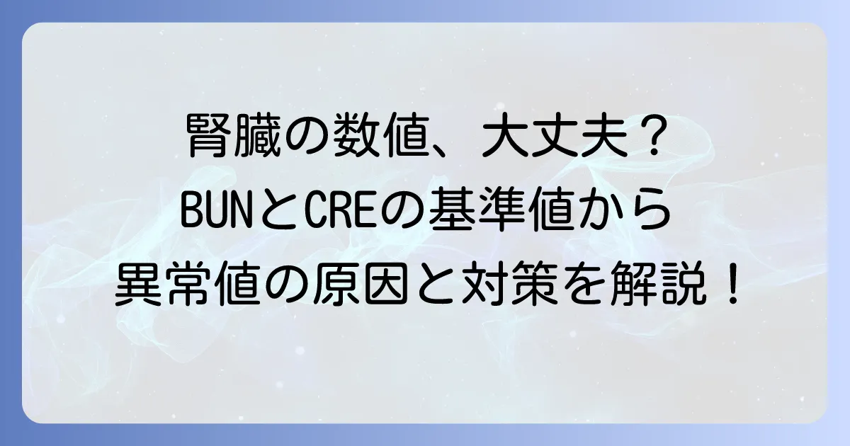 BUNとCREの基準値でわかる腎臓の健康状態：異常値の原因と対処法を徹底解説