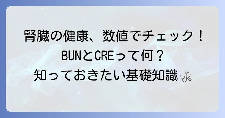 BUNとCREは腎臓の健康を示す重要な指標