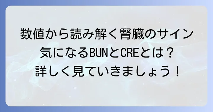 BUNとCREの基準値からわかること