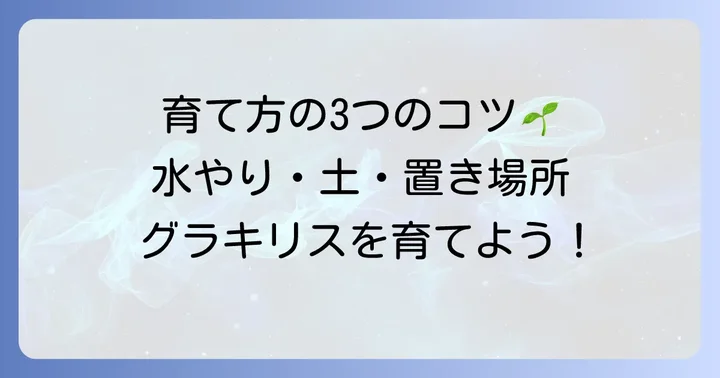 パキポディウムグラキリスの基本的な育て方