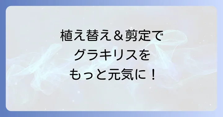 グラキリスの健康を保つための植え替えと剪定