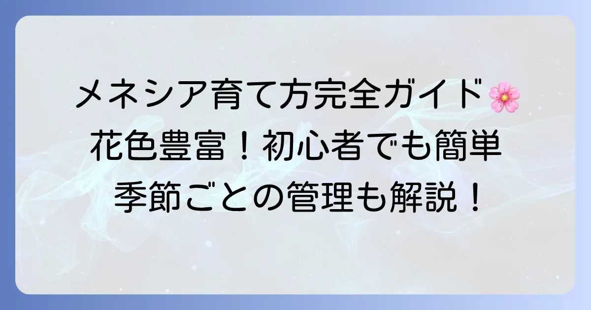 メネシアの育て方|花をたくさん咲かせるコツと季節ごとの管理方法