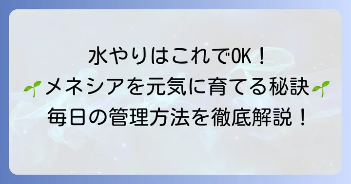 メネシアの毎日の管理方法