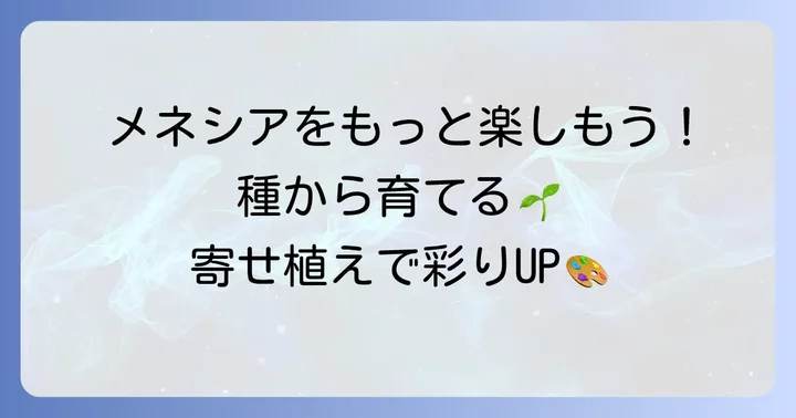 メネシアをさらに楽しむ方法