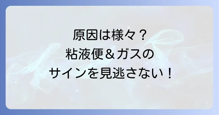 粘液便とガスが同時に起こる主な原因