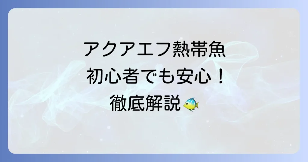 アクアエフの熱帯魚の魅力と飼育のコツを徹底解説！初心者も安心