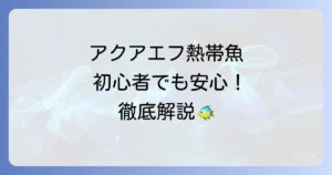 アクアエフの熱帯魚の魅力と飼育のコツを徹底解説！初心者も安心