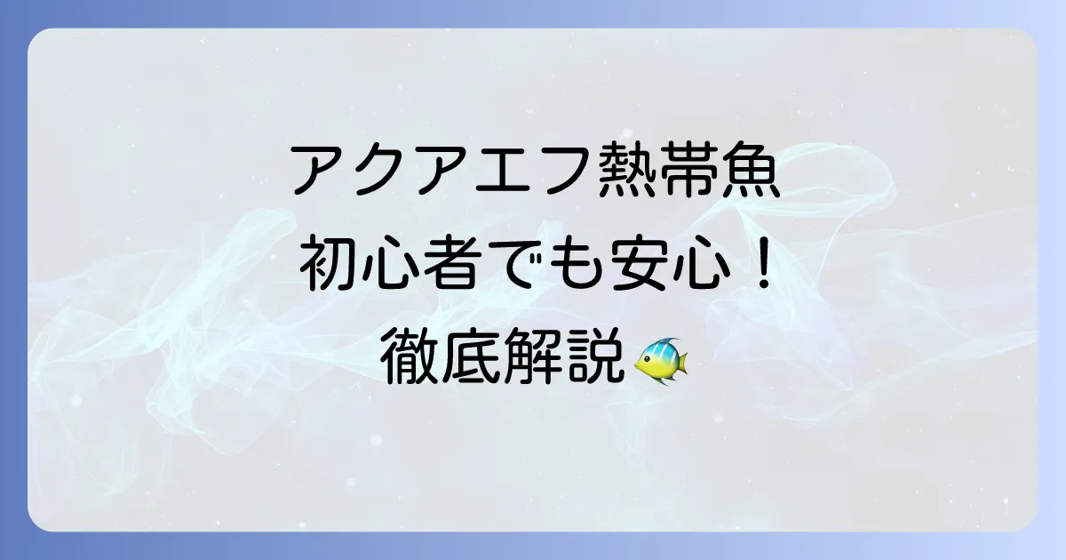 アクアエフの熱帯魚の魅力と飼育のコツを徹底解説!初心者も安心