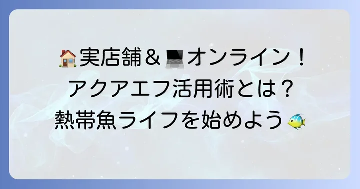 アクアエフの店舗情報とオンラインショップの活用法