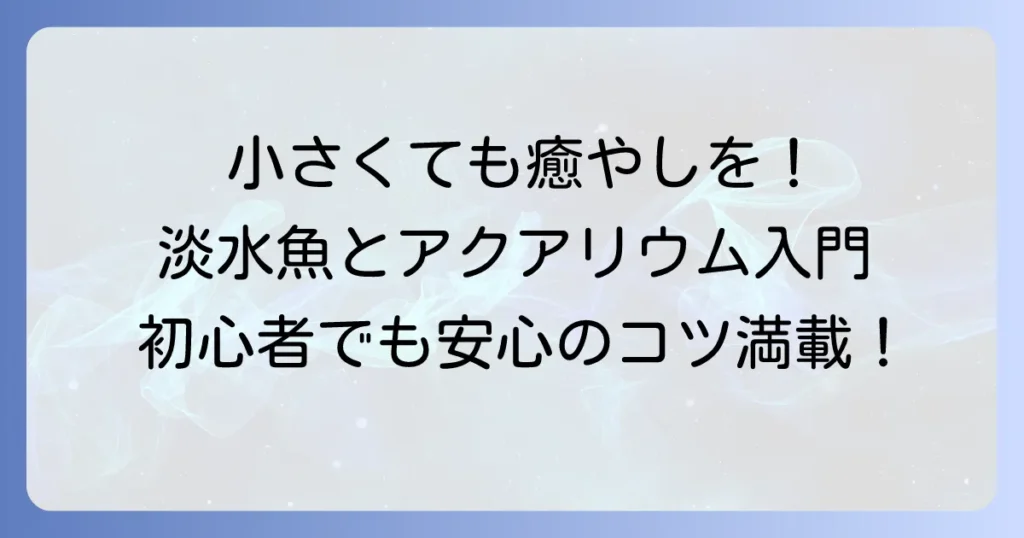 小さい水槽で飼える淡水魚10選！初心者でも安心の飼育方法とコツを徹底解説