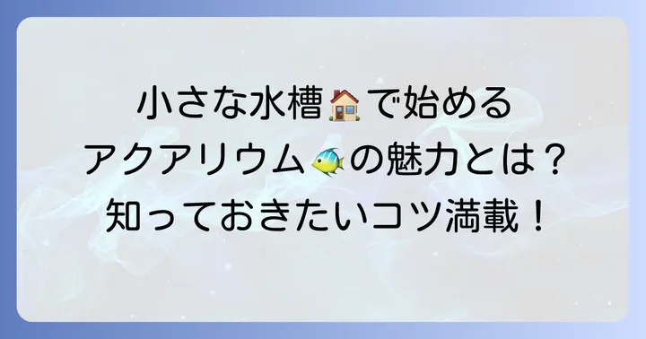 小さい水槽で淡水魚を飼う魅力と知っておきたいこと