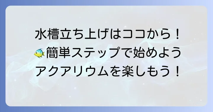 小さい水槽の立ち上げ方と日常の管理方法