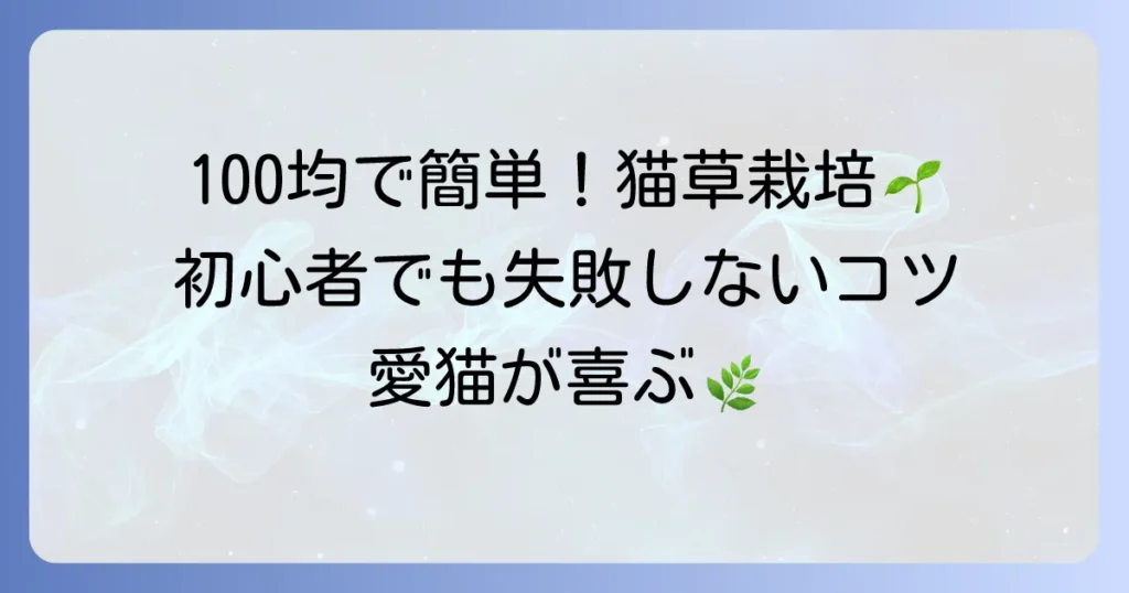 100均アイテムで簡単！初心者でも失敗しない猫草の育て方と栽培のコツ