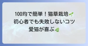 100均アイテムで簡単！初心者でも失敗しない猫草の育て方と栽培のコツ