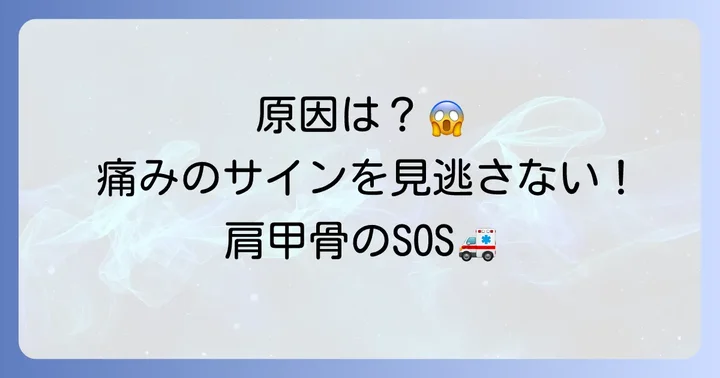 右肩甲骨の痛みの主な原因