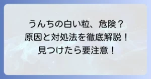 大人のうんちに白い粒が混じるのはなぜ？その正体と原因、対処法を徹底解説